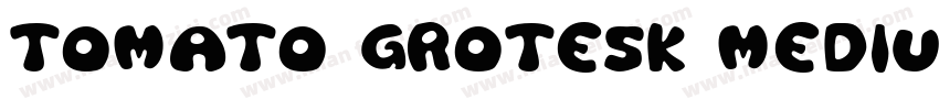 Tomato Grotesk Medium字体转换